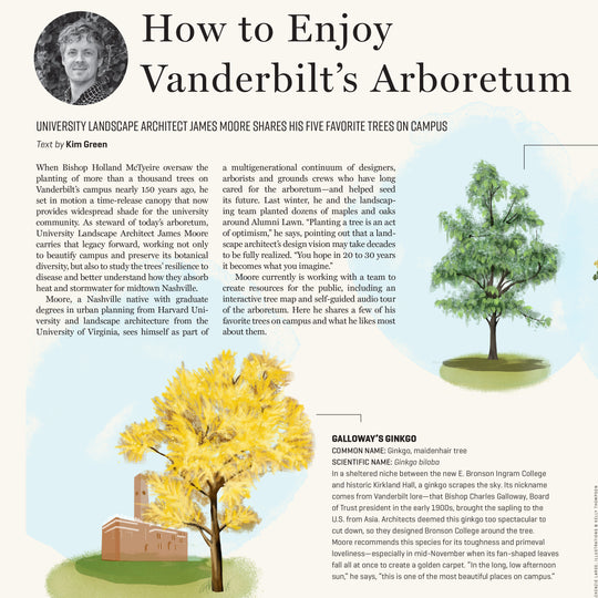 How to enjoy Vanderbilt's Arboretum