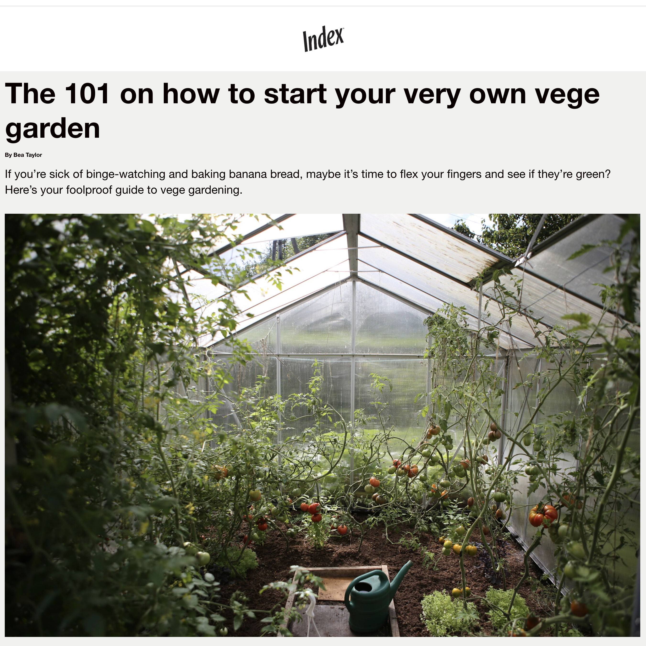 Index Magazine - The 101 on how to start your own Vege garden