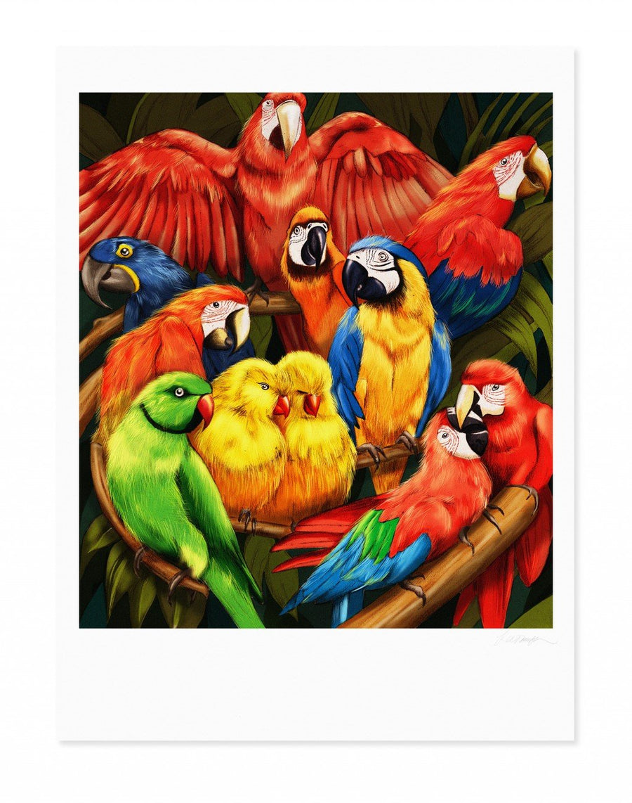 Parrots