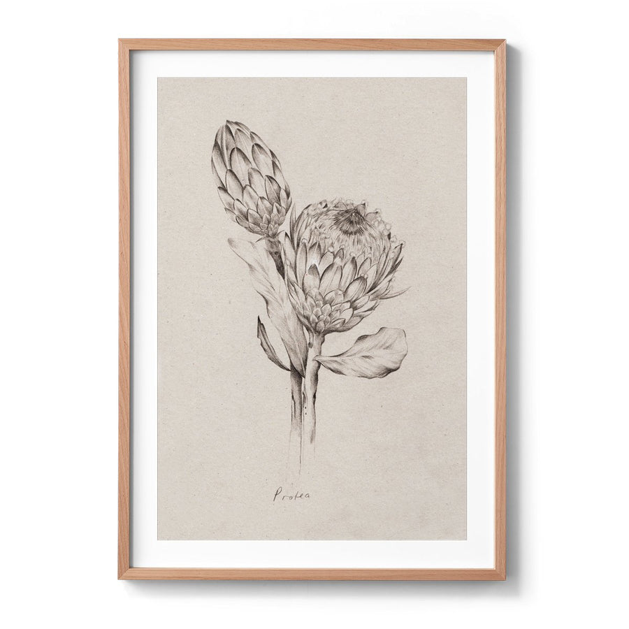 Kelly Thompson botanical illustrator in Melbourne, floral illustration commission